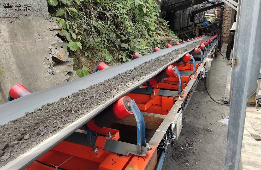 德国申克BMP型电子皮带秤